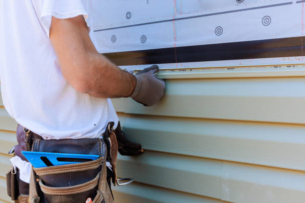 Affordable Storm Damage Siding Repair solutions in Niles, IL